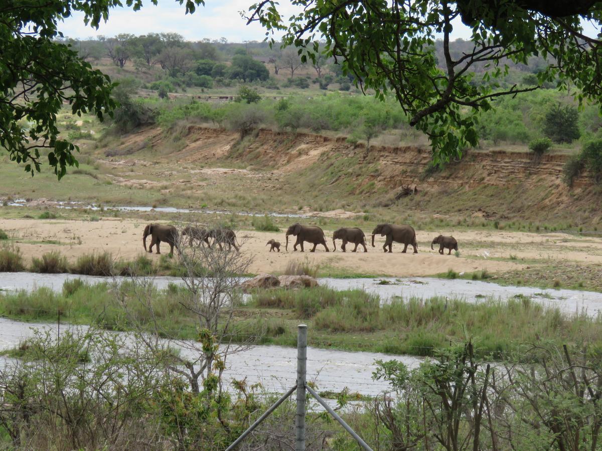 Kruger View Tree House Villa Marloth Park Eksteriør bilde