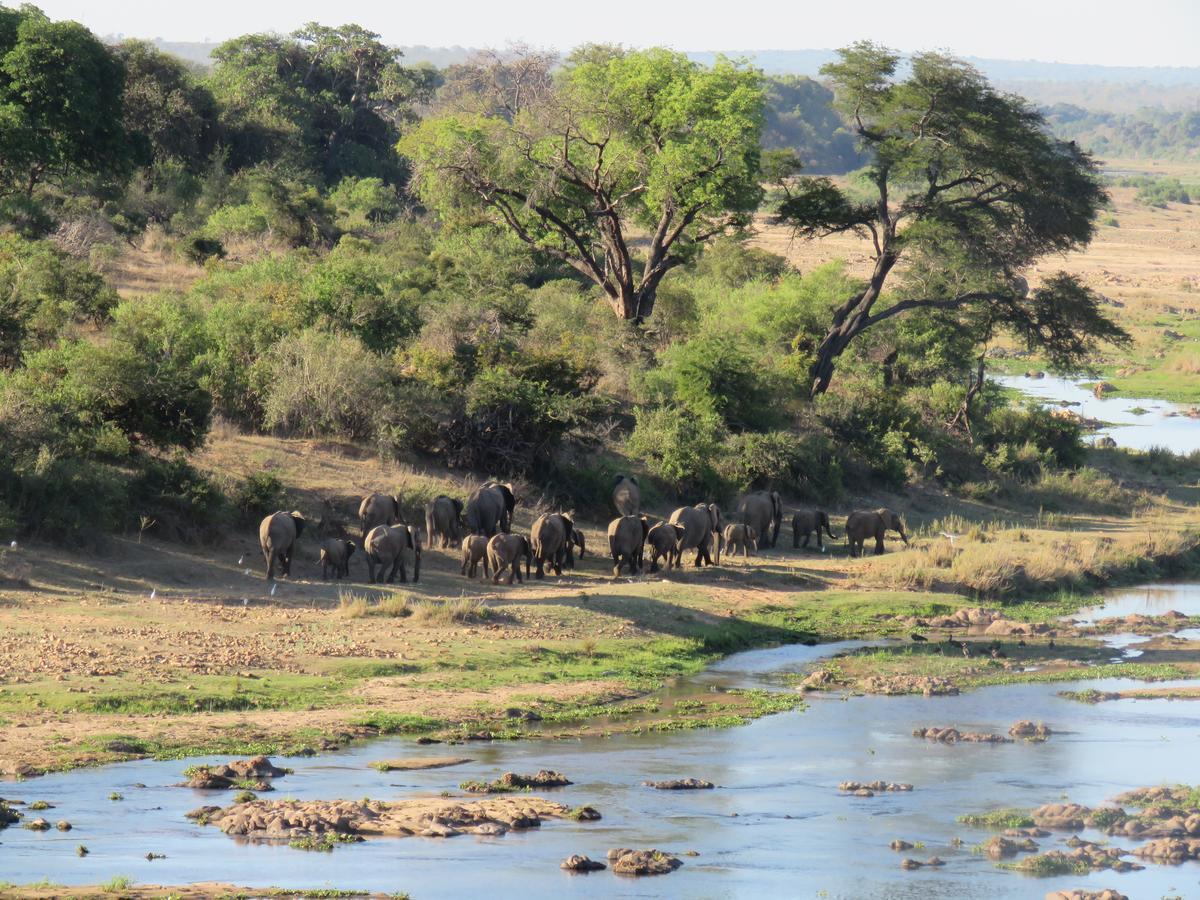 Kruger View Tree House Villa Marloth Park Eksteriør bilde